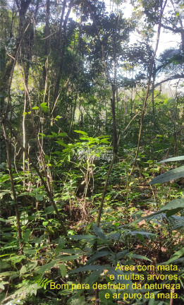 Imagem Imóvel à Venda,  em Arataca - São João Batista