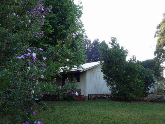 Imagem Imóvel com 2 Quartos à Venda, 100 m² em Linha Olinda - Nova Petrópolis Imagem Imóvel com 2 Quartos à Venda, 100 m² em Linha Olinda - Nova Petrópolis