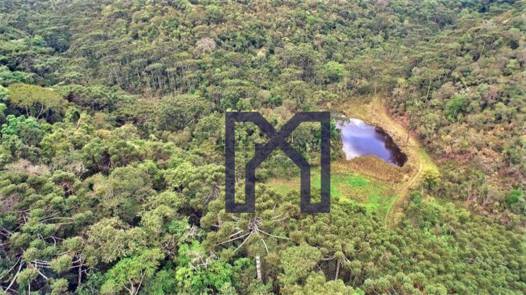 Imagem Fazenda à Venda, 4.934.500 m² em Pouso Frio - Piranguçu