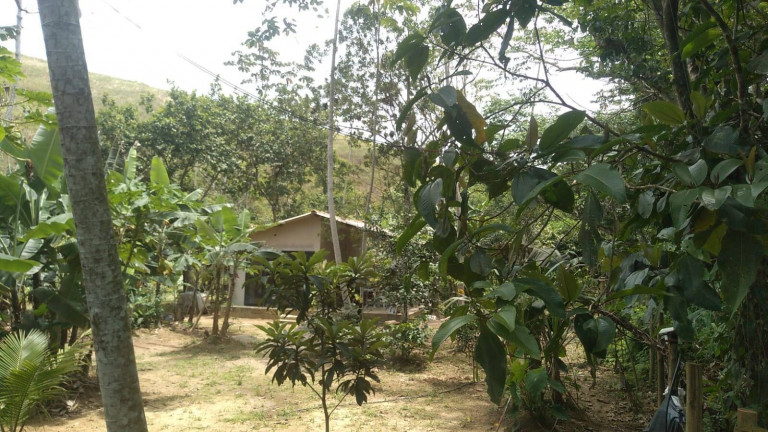 Imagem Chácara com 1 Quarto à Venda, 1.000 m² em Praia Da Maranduba - Ubatuba