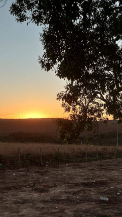 Imagem Chácara à Venda, 20 m² em Zona Rural - Abadiânia
