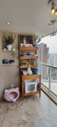 Imagem Apartamento com 3 Quartos à Venda, 72 m² em Osvaldo Cruz - São Caetano Do Sul Imagem Apartamento com 3 Quartos à Venda, 72 m² em Osvaldo Cruz - São Caetano Do Sul