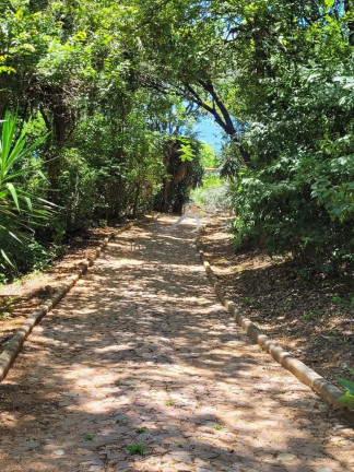 Imagem Chácara com 3 Quartos à Venda, 25.700 m² em Quintas Da Fazendinha - Matozinhos