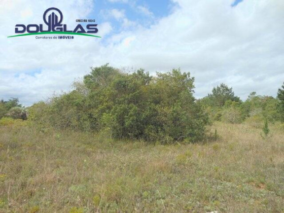 Imagem Imóvel Comercial à Venda, 3.640 m² em Morro Grande - Viamão