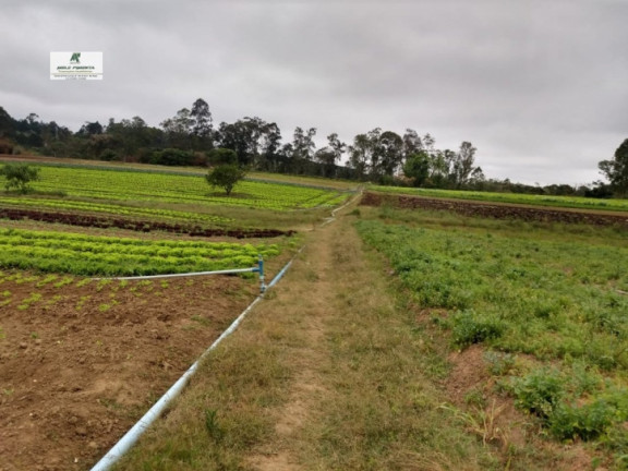 Imagem Terreno à Venda, 2.500 m² em Caetê - São Roque Imagem Terreno à Venda, 2.500 m² em Caetê - São Roque