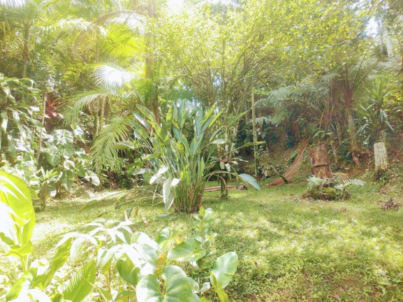 Imagem Casa com 3 Quartos à Venda, 312 m² em América - Joinville