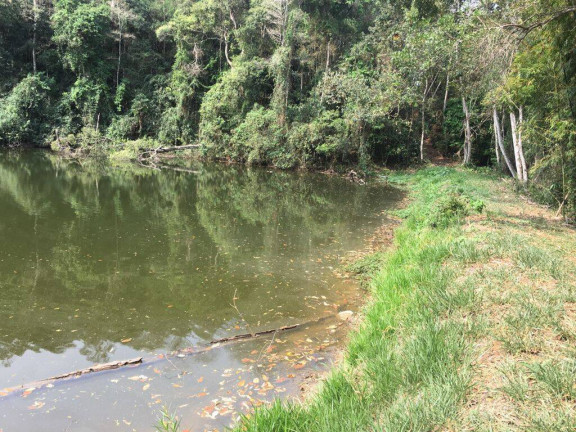 Imagem Chácara à Venda, 24.200 m² em Piedade Imagem Chácara à Venda, 24.200 m² em Piedade