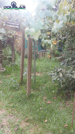 Imagem Casa com 3 Quartos à Venda, 1.600 m² em águas Claras - Viamão