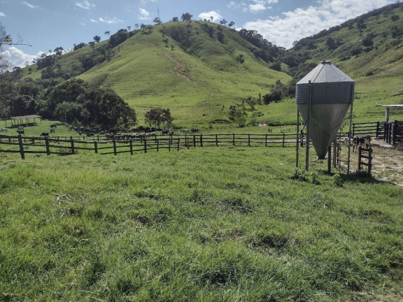 Imagem Fazenda à Venda, 100 m² em Zona Rural - Itamonte