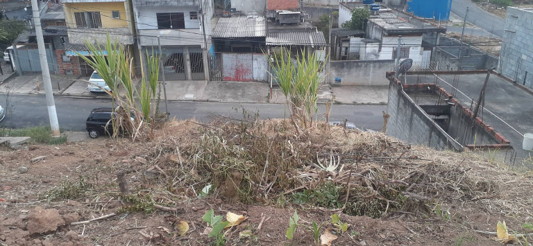 Imagem Terreno à Venda, 300 m² em Cidade São Pedro - Gleba B - Santana De Parnaíba