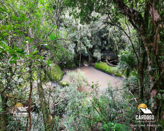 Imagem Fazenda à Venda, 125.000 m² em águas Claras - Viamão Imagem Fazenda à Venda, 125.000 m² em águas Claras - Viamão