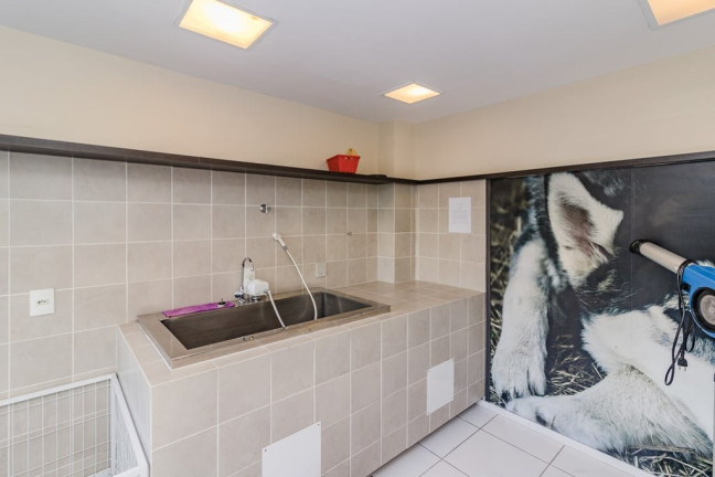 Imagem Apartamento com 3 Quartos à Venda, 72 m² em Sarandi - Porto Alegre