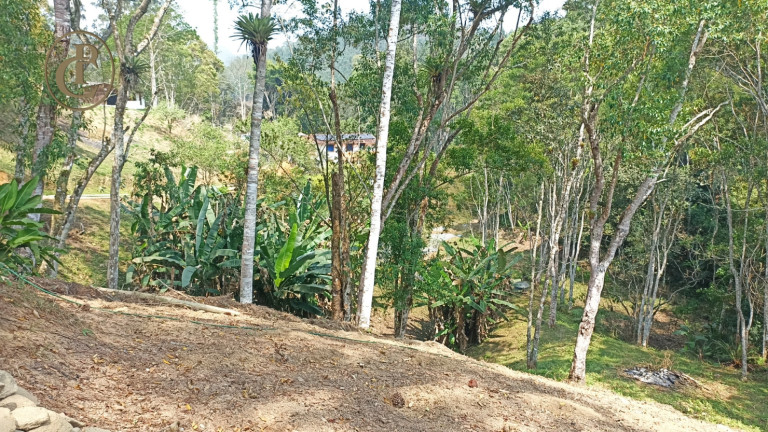 Imagem Chácara com 4 Quartos à Venda, 800 m² em Cedro - Paraibuna