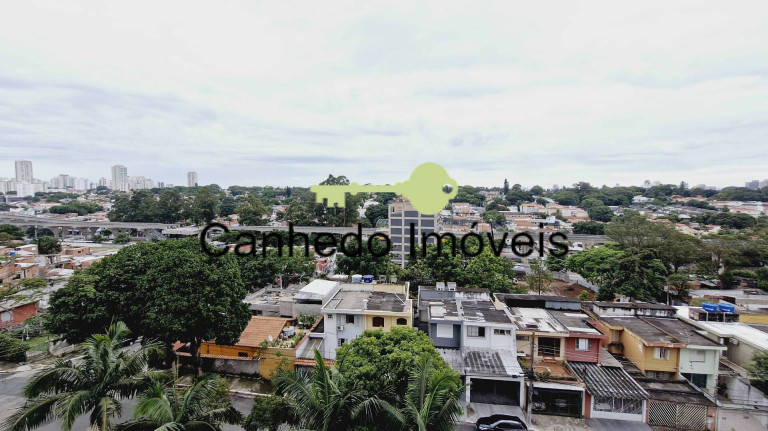 Imagem Apartamento com 3 Quartos à Venda, 125 m² em Parque Colonial - São Paulo Imagem Apartamento com 3 Quartos à Venda, 125 m² em Parque Colonial - São Paulo