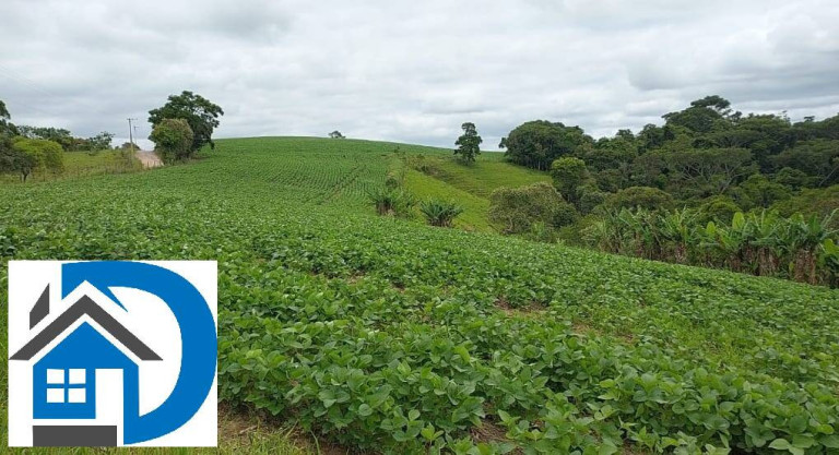 Imagem Chácara com 2 Quartos à Venda, 7 m² em Rural - Itapetininga Imagem Chácara com 2 Quartos à Venda, 7 m² em Rural - Itapetininga