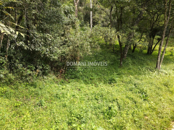 Imagem Terreno à Venda, 1.270 m² em Região Do Imbiri - Campos Do Jordão Imagem Terreno à Venda, 1.270 m² em Região Do Imbiri - Campos Do Jordão