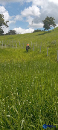 Imagem Fazenda à Venda, 40 m² em Zona Rural - São Miguel Do Passa Quatro Imagem Fazenda à Venda, 40 m² em Zona Rural - São Miguel Do Passa Quatro
