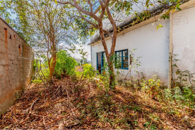 Imagem Terreno à Venda, 351 m² em Butantã - São Paulo