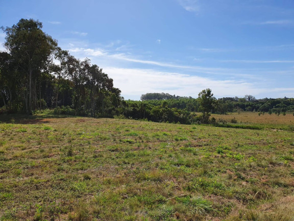 Imagem Chácara à Venda, 100 m² em Sanga Funda - Portão Imagem Chácara à Venda, 100 m² em Sanga Funda - Portão