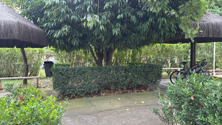 Imagem Apartamento com 2 Quartos para Alugar, 44 m² em Jardim Da Glória - Cotia Imagem Apartamento com 2 Quartos para Alugar, 44 m² em Jardim Da Glória - Cotia