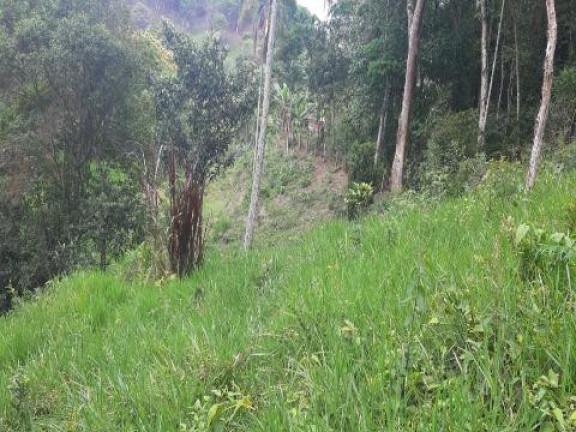 Imagem Terreno à Venda, 5.470 m² em Santa Isabel - Santa Isabel