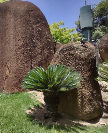 Imagem Casa com 4 Quartos à Venda, 1 m² em Cafezal 4-cond. Fechado - Itupeva Imagem Casa com 4 Quartos à Venda, 1 m² em Cafezal 4-cond. Fechado - Itupeva