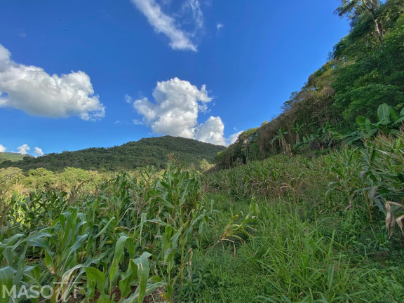 Imagem Chácara com 4 Quartos à Venda, 120.000 m² em Centro - Santa Maria Do Herval Imagem Chácara com 4 Quartos à Venda, 120.000 m² em Centro - Santa Maria Do Herval