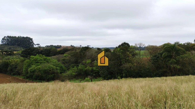 Imagem Chácara à Venda, 1 m² em Boqueirão - Araucária