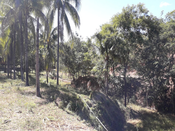 Imagem Imóvel com 3 Quartos à Venda, em Quente Frio - Barreiras Imagem Imóvel com 3 Quartos à Venda, em Quente Frio - Barreiras