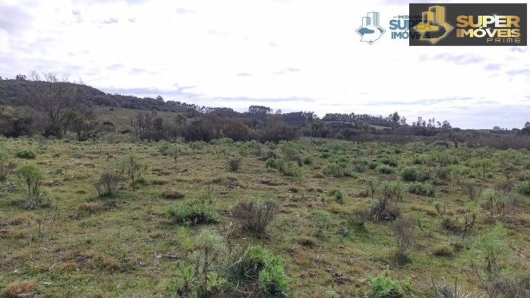 Imagem Imóvel com 2 Quartos à Venda, 580.000 m² em Centro - Canguçu