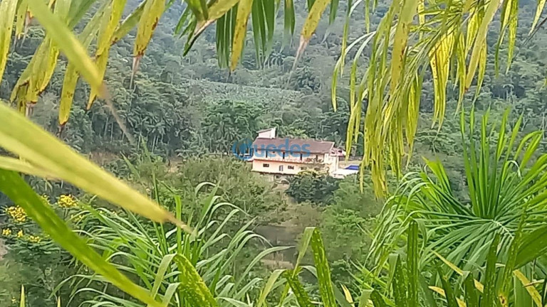 Imagem Imóvel com 4 Quartos à Venda, 363.000 m² em Juquiá - Juquiá