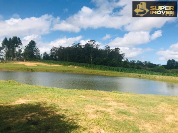 Imóvel com 7 Quartos à Venda, 120.000 m² em Monte Bonito - Pelotas