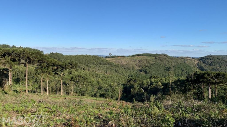 Imagem Chácara à Venda, 31.800 m² em Tapera Alemã - Gramado Imagem Chácara à Venda, 31.800 m² em Tapera Alemã - Gramado
