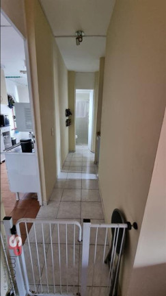 Imagem Apartamento com 2 Quartos à Venda, 51 m² em Vila Inglesa - São Paulo Imagem Apartamento com 2 Quartos à Venda, 51 m² em Vila Inglesa - São Paulo