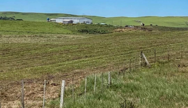Imagem Fazenda à Venda, 104 m² em Localidade Azulega - Cambara Do Sul Imagem Fazenda à Venda, 104 m² em Localidade Azulega - Cambara Do Sul