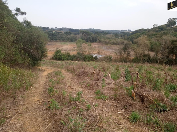 Imagem Imóvel à Venda, 96.800 m² em Colonia Marcelino - São José Dos Pinhais Imagem Imóvel à Venda, 96.800 m² em Colonia Marcelino - São José Dos Pinhais