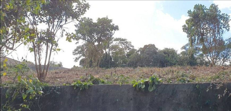 Imagem Terreno em Condomínio à Venda, 3.203 m² em Parque Primavera - Carapicuíba