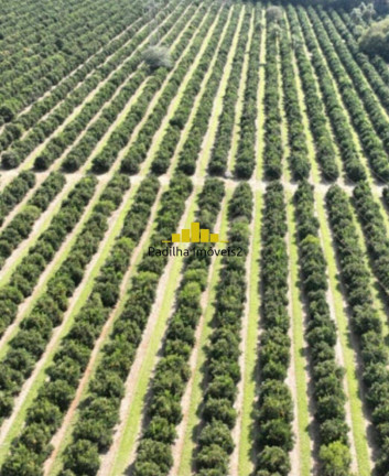 Imagem Fazenda à Venda, 170 m² em Rural - Angatuba Imagem Fazenda à Venda, 170 m² em Rural - Angatuba