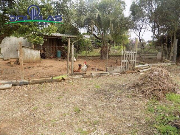 Imagem Casa com 2 Quartos à Venda, 595 m² em Viamão Imagem Casa com 2 Quartos à Venda, 595 m² em Viamão