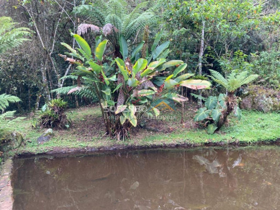 Imagem Imóvel com 6 Quartos à Venda, 544.500 m² em São Geraldo - Nova Friburgo Imagem Imóvel com 6 Quartos à Venda, 544.500 m² em São Geraldo - Nova Friburgo