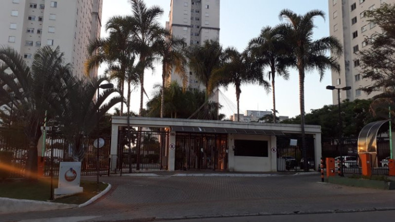 Imagem Apartamento com 2 Quartos à Venda, 45 m² em Jardim Copacabana - São José Dos Campos Imagem Apartamento com 2 Quartos à Venda, 45 m² em Jardim Copacabana - São José Dos Campos