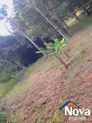 Imagem Imóvel à Venda, em Linha Araripe - Nova Petrópolis Imagem Imóvel à Venda, em Linha Araripe - Nova Petrópolis