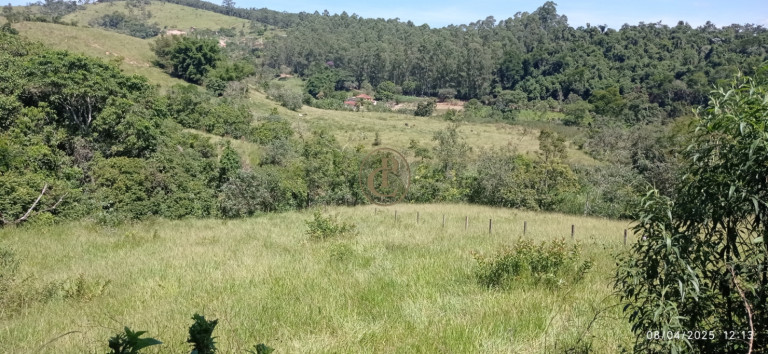 Imagem Chácara à Venda, 63.000 m² em Centro - Santa Branca Imagem Chácara à Venda, 63.000 m² em Centro - Santa Branca