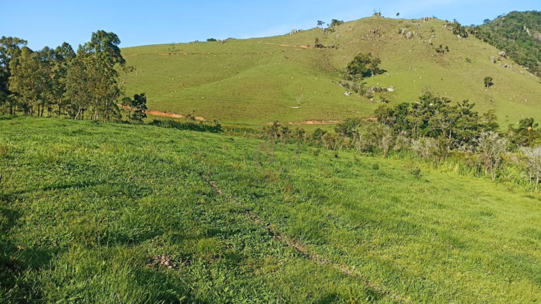 Imagem Fazenda à Venda, 100 m² em Espírito Santo - Paraibuna Imagem Fazenda à Venda, 100 m² em Espírito Santo - Paraibuna