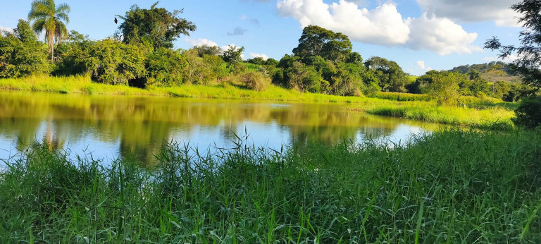 Imagem Chácara com 4 Quartos à Venda, 63 m² em Jardim Marabá - Itapetininga Imagem Chácara com 4 Quartos à Venda, 63 m² em Jardim Marabá - Itapetininga