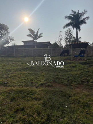 Imagem Imóvel com 3 Quartos à Venda, 20.030 m² em Centro - Cambuí Imagem Imóvel com 3 Quartos à Venda, 20.030 m² em Centro - Cambuí