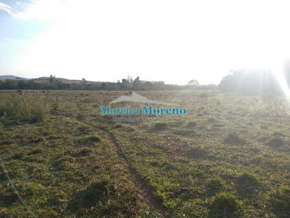 Imagem Imóvel à Venda, 200 m² em Zona Rural - Borda Da Mata Imagem Imóvel à Venda, 200 m² em Zona Rural - Borda Da Mata