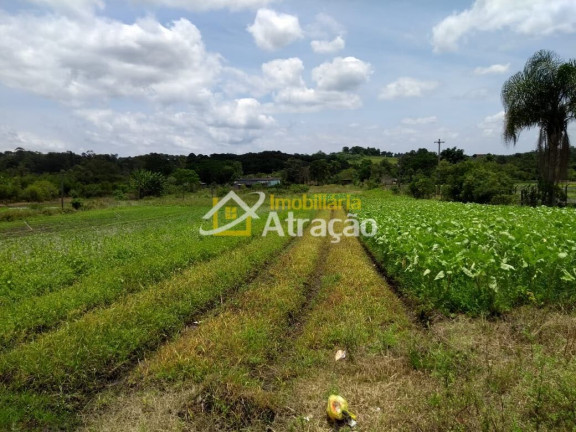 Imagem Imóvel com 2 Quartos à Venda, 33.000 m² em Ipelândia - Suzano Imagem Imóvel com 2 Quartos à Venda, 33.000 m² em Ipelândia - Suzano