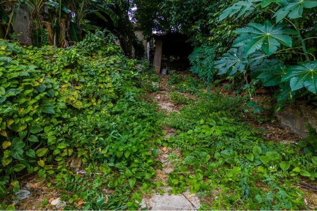 Imagem Terreno à Venda,  em Piqueri - São Paulo