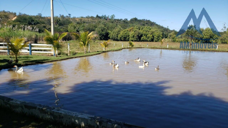 Imagem Chácara com 5 Quartos à Venda, 20.000 m² em Curralinho - Jaboticatubas Imagem Chácara com 5 Quartos à Venda, 20.000 m² em Curralinho - Jaboticatubas